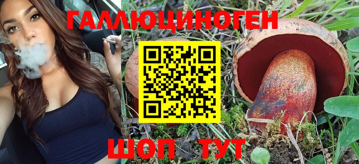 Псилоцибиновые грибы Psilocybine cubensis  Псилоцибиновые грибы Magic Shrooms  Вход с VPN  Щёкино 