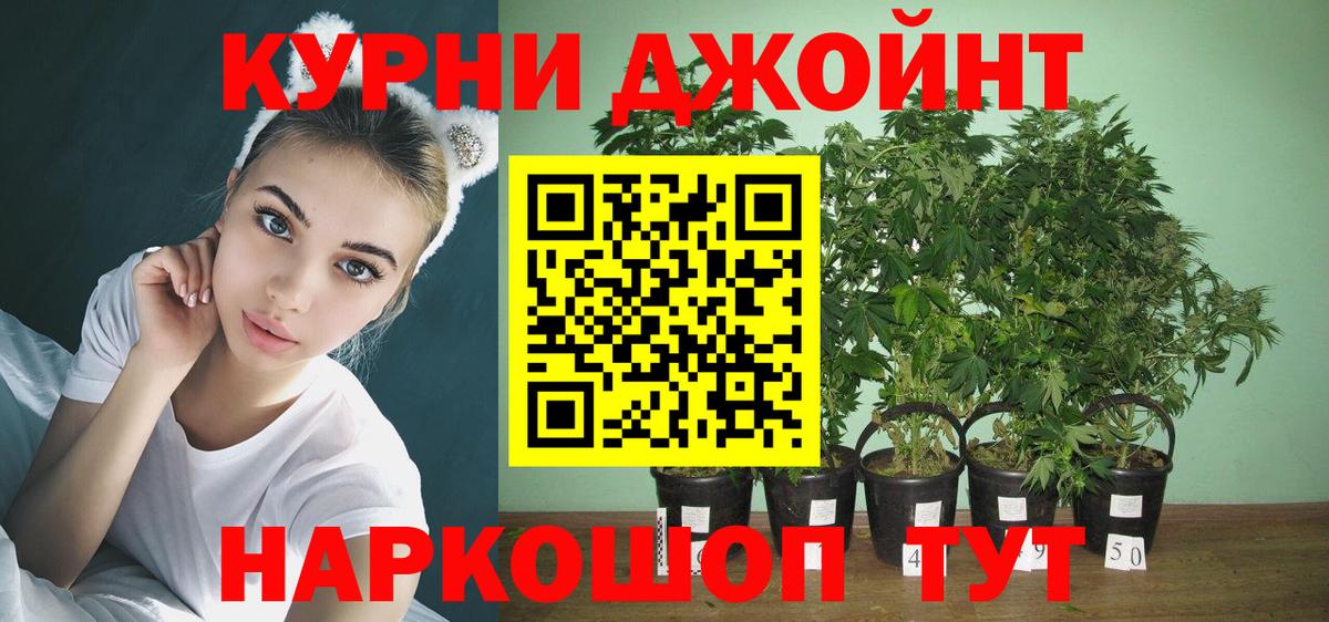МАРИХУАНА White Widow Щёкино